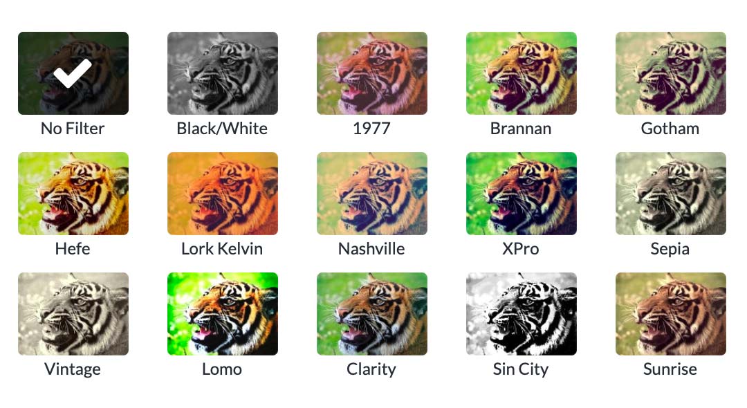 Filters