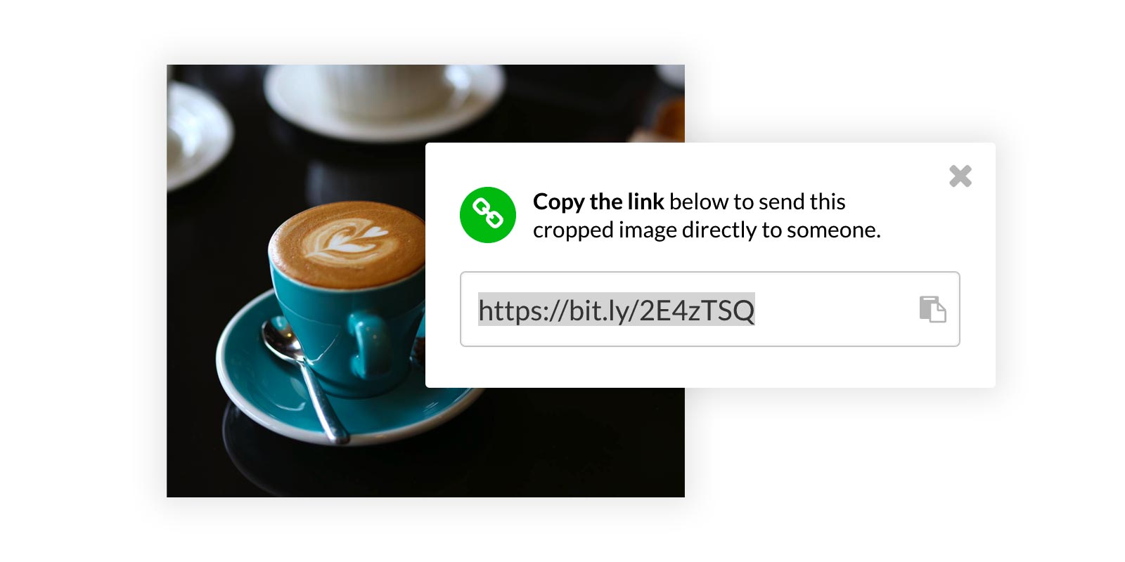 Crop Image Copy Link