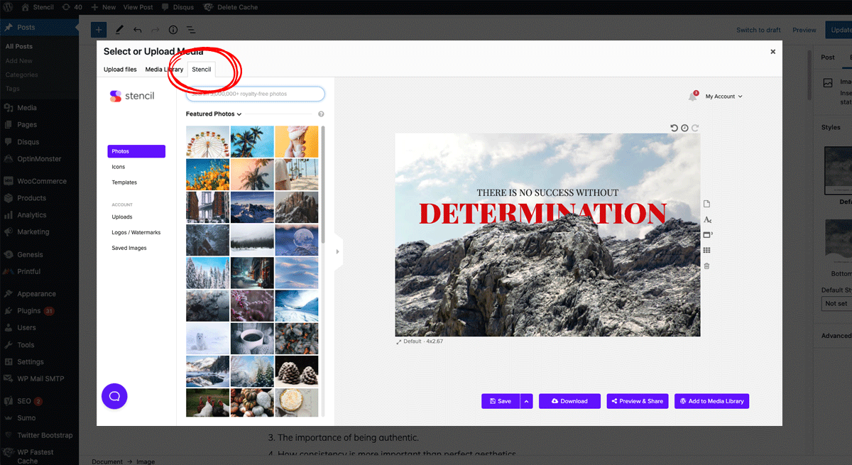 Stencil WordPress Plugin
